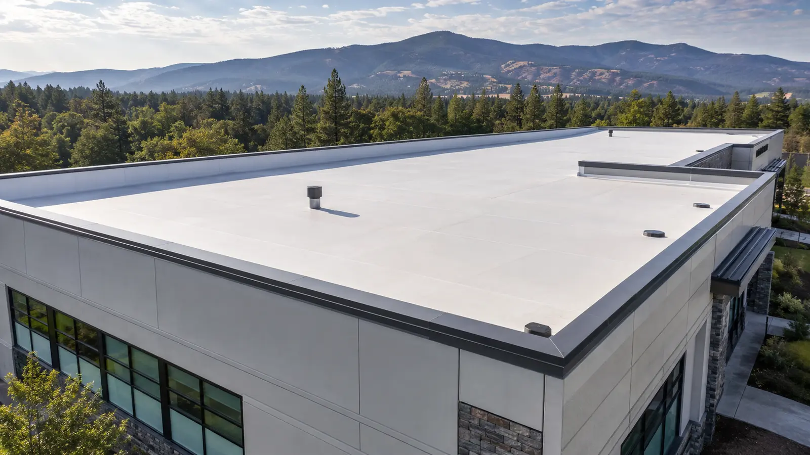 Commercial building with a low-slope roof system