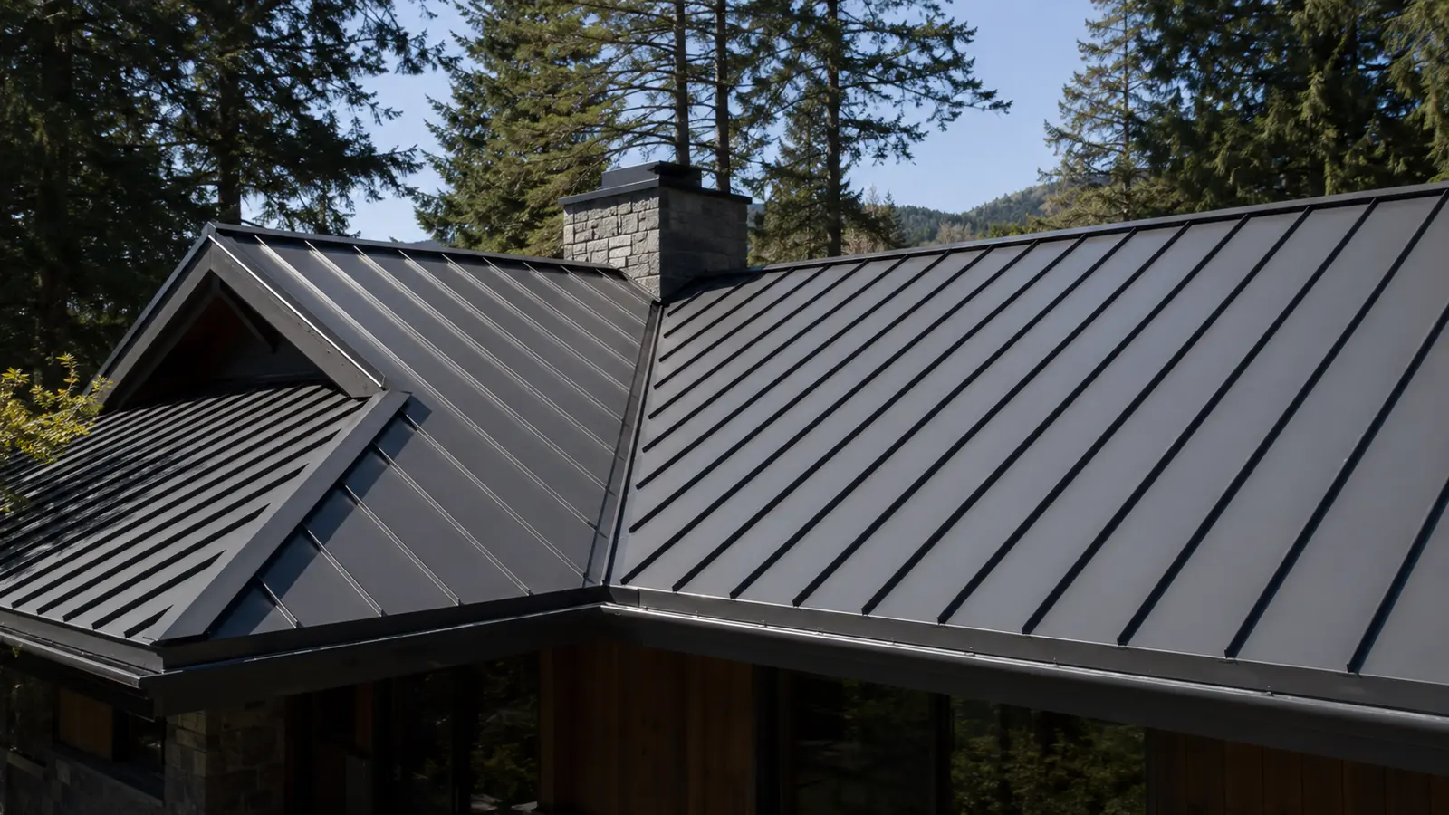 Standing-seam metal roof on a tree-lined property